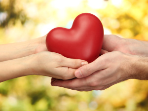 Red heart in woman and man hands, on green background